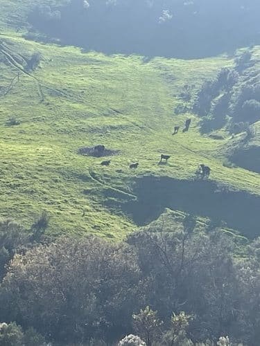 Mulholland Ridge Open Space