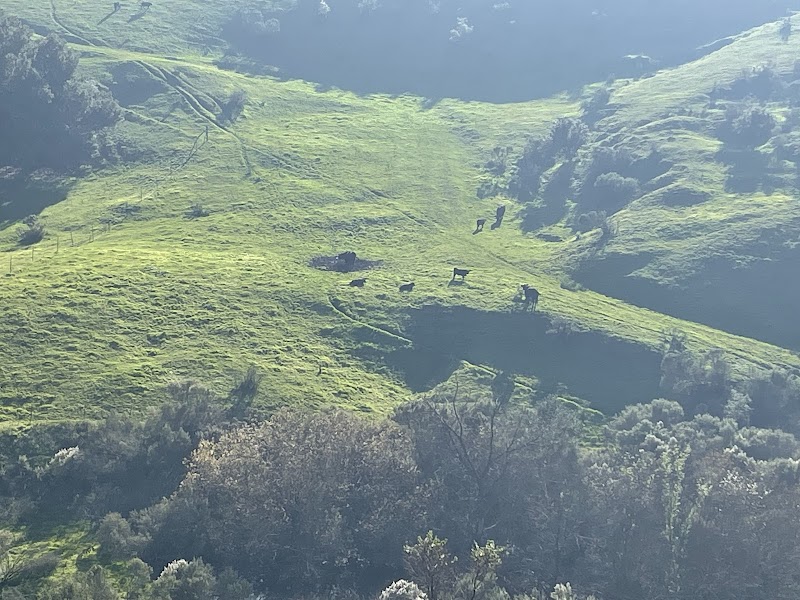 Mulholland Ridge Open Space - Moraga, CA