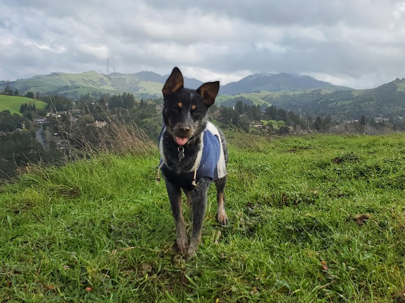 Mulholland Ridge Open Space - Moraga, CA