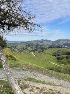 Mulholland Ridge Open Space