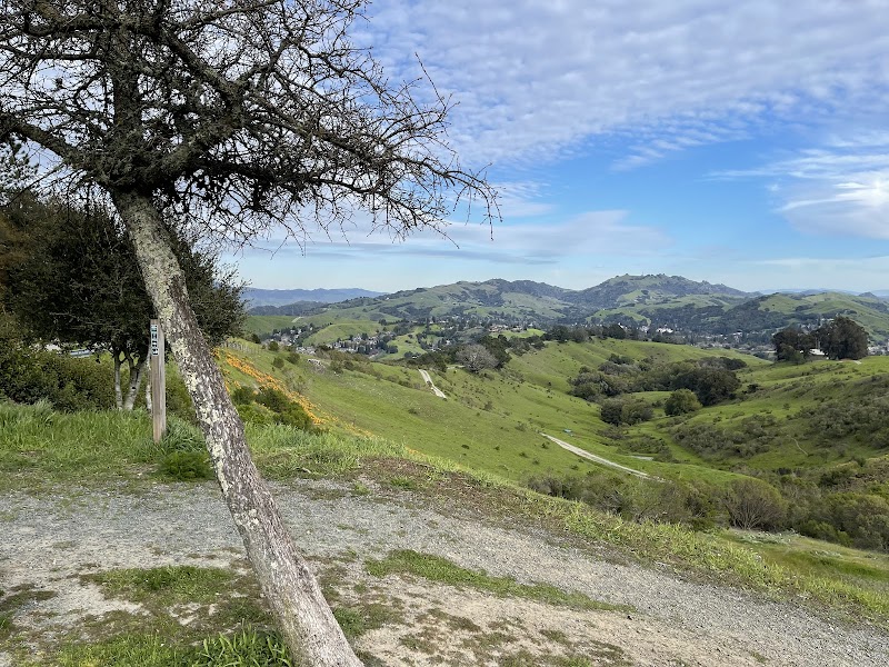 Mulholland Ridge Open Space - Moraga, CA