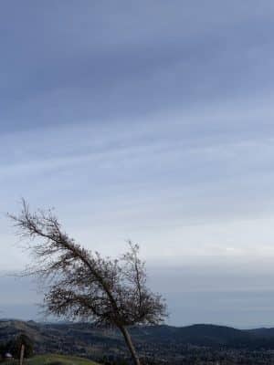 Mulholland Ridge Open Space