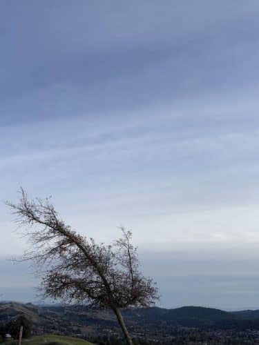 Mulholland Ridge Open Space