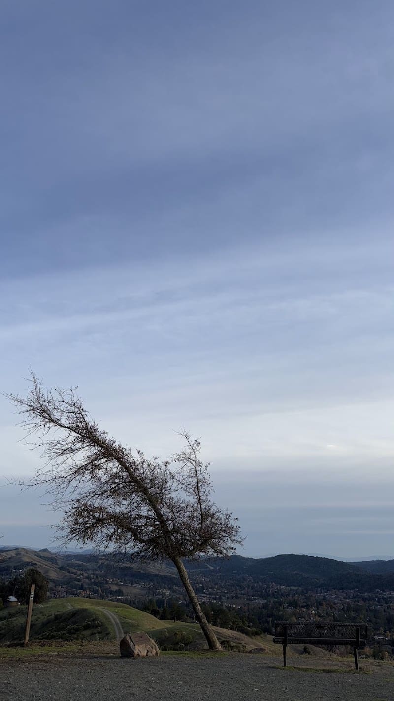 Mulholland Ridge Open Space - Moraga, CA