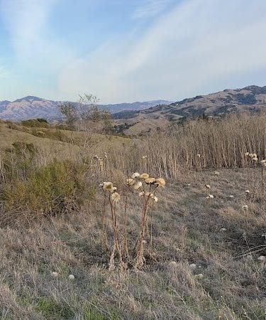 Mulholland Ridge Open Space