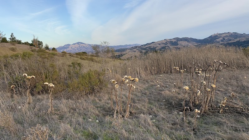 Mulholland Ridge Open Space - Moraga, CA