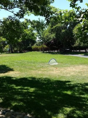 Moraga Commons Park
