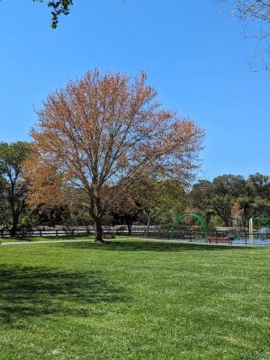 Moraga Commons Park