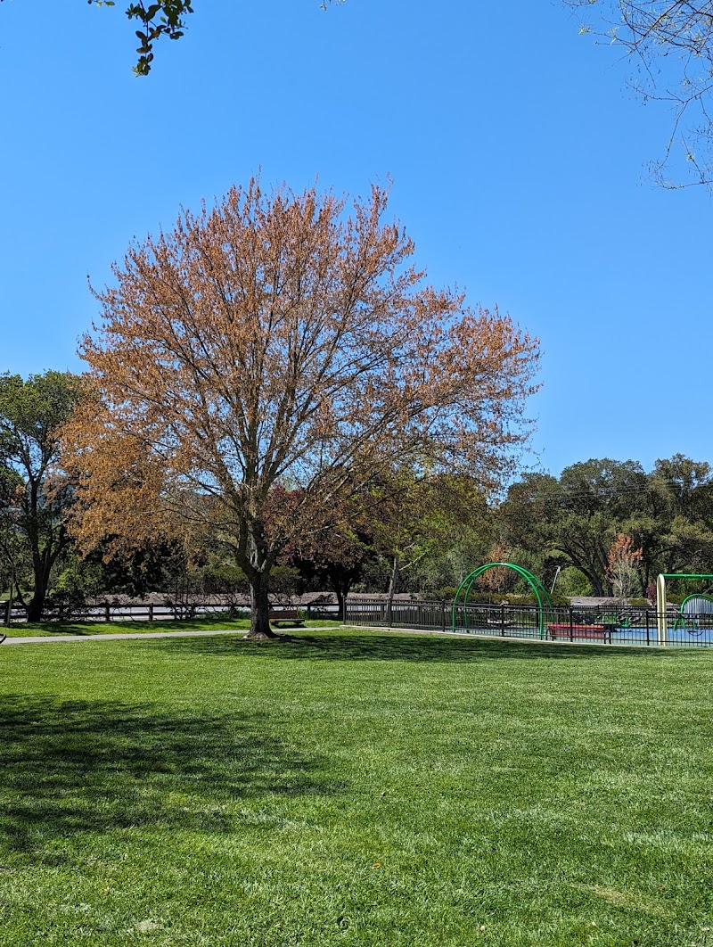 Moraga Commons Park - Moraga, CA