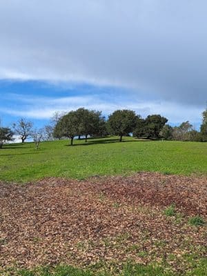 Moraga Commons Park