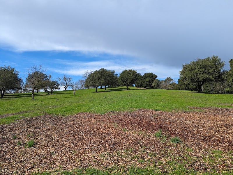 Moraga Commons Park - Moraga, CA