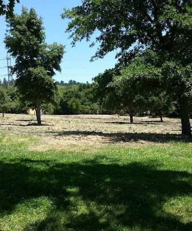 Moraga Commons Park