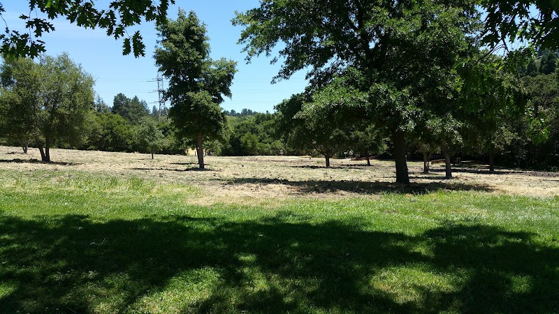 Moraga Commons Park - Moraga, CA