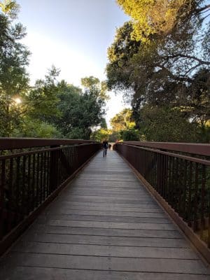 Moraga Commons Park