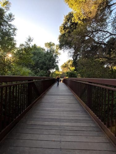 Moraga Commons Park