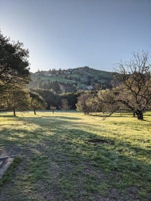Moraga Commons Park