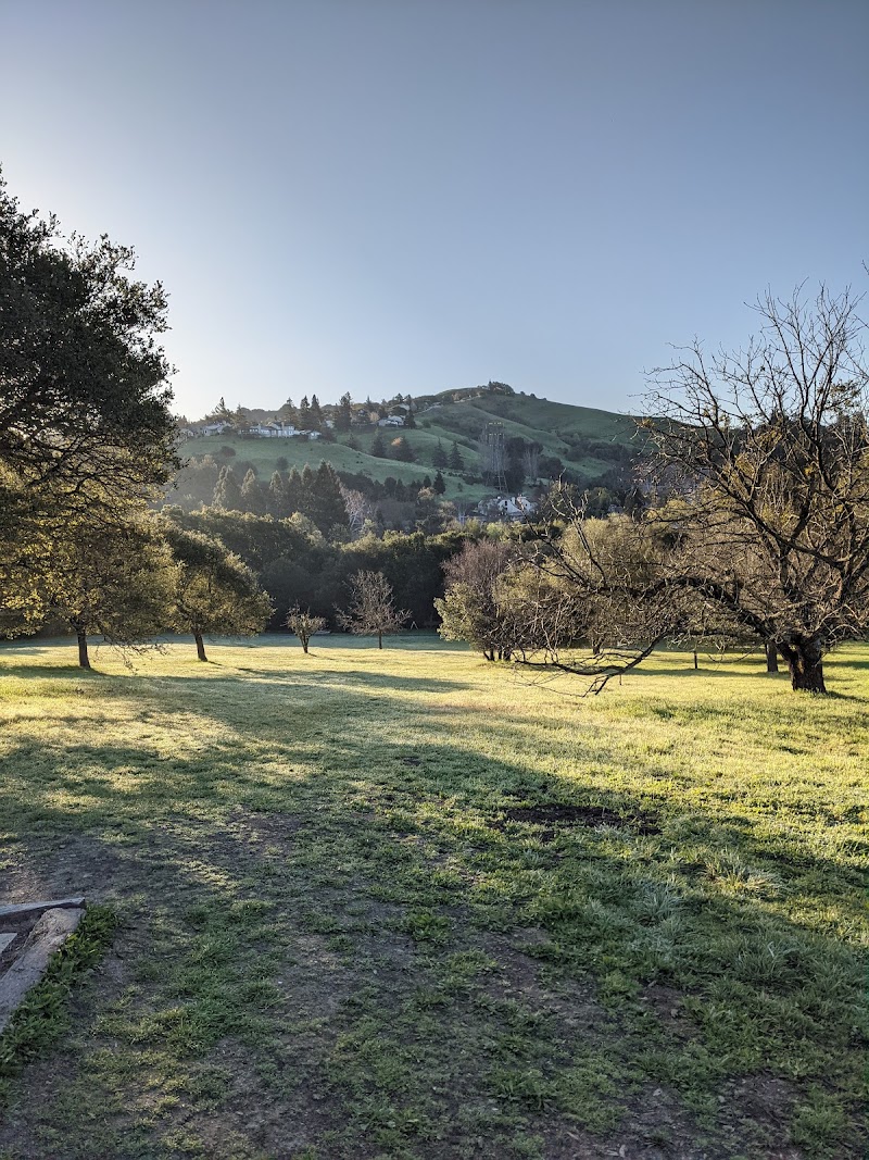 Moraga Commons Park - Moraga, CA