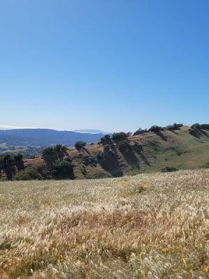 Rancho Laguna Park