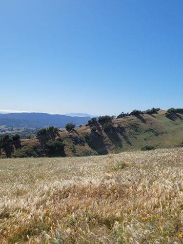 Rancho Laguna Park