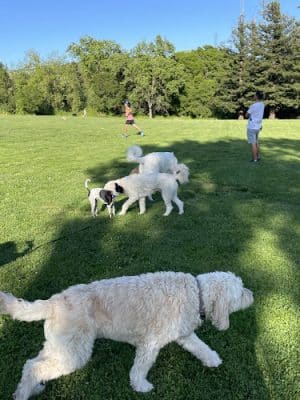 Rancho Laguna Park