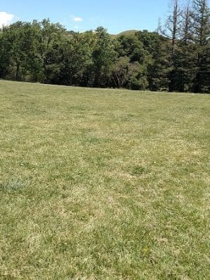Rancho Laguna Park