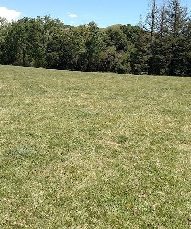 Rancho Laguna Park