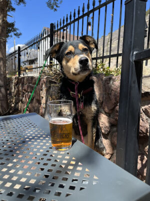 Red Rocks Beer Garden