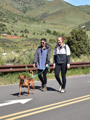 Rooney Road Trailhead