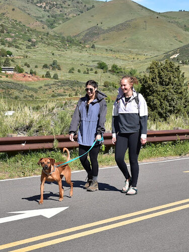 Rooney Road Trailhead