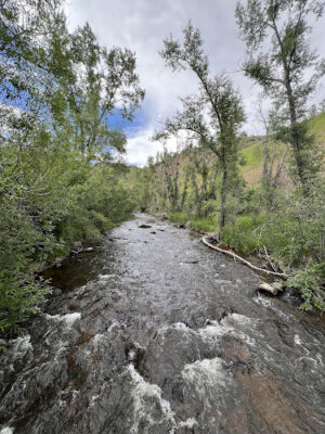 Trailhead