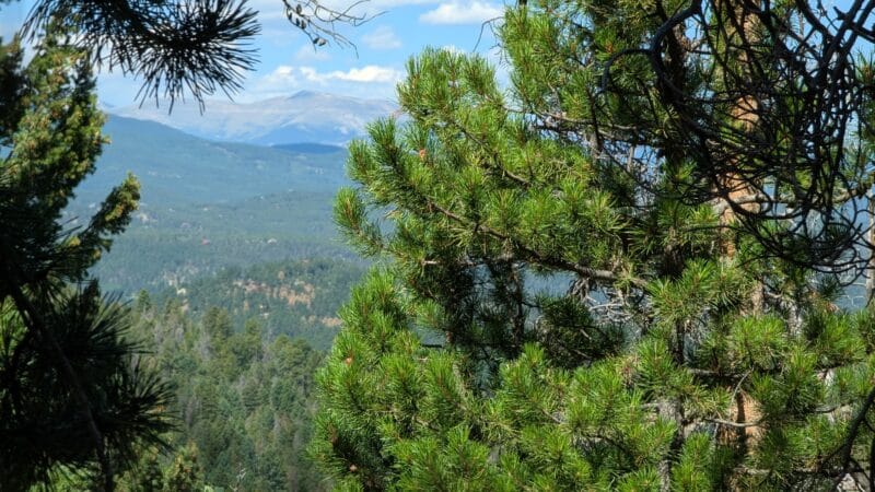 Meyer Ranch Park - Morrison, CO
