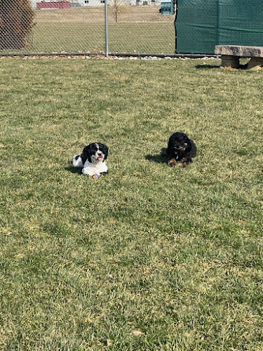 Dog Park Mount Joy - membership only