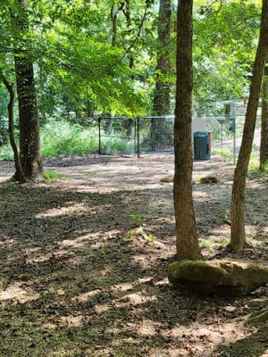 Jemison Trail Dog Park