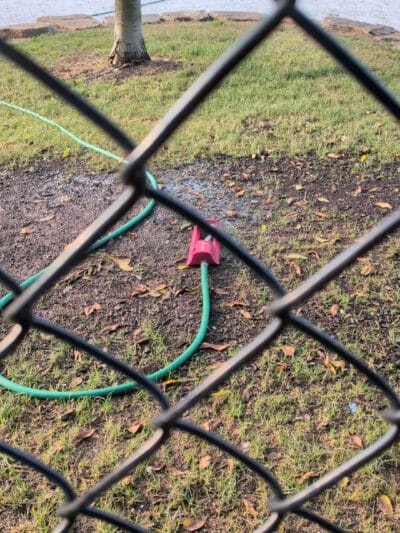 Echo Lake Dog Park - Mountainside, NJ
