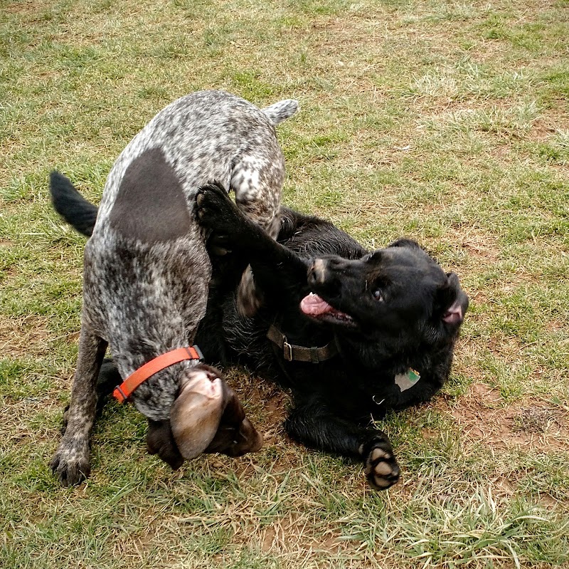 Watkins Park - Mount Airy Dog Park - Mt Airy, MD