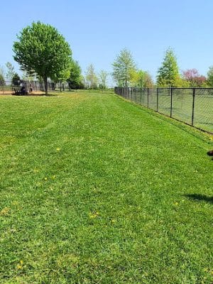 Watkins Park - Mount Airy Dog Park - Mt Airy, MD