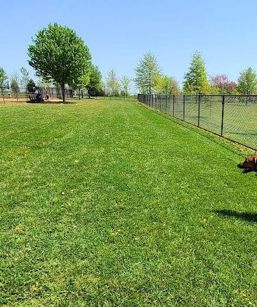 Watkins Park - Mount Airy Dog Park