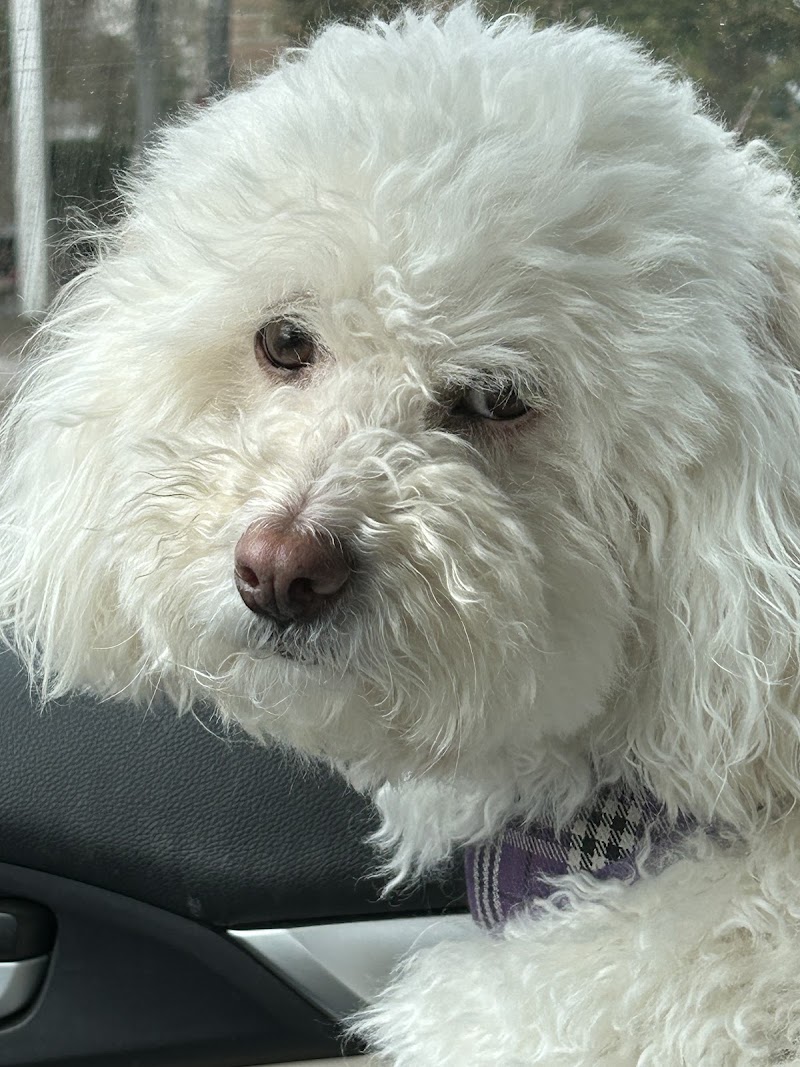 Watkins Park - Mount Airy Dog Park - Mt Airy, MD