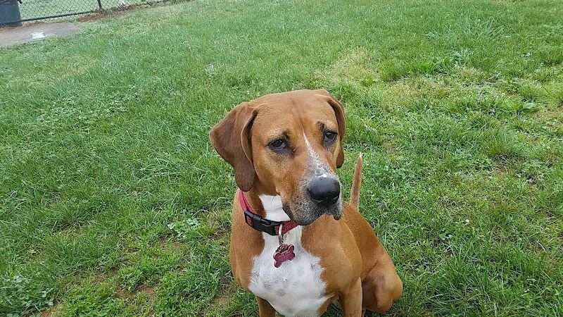 Watkins Park - Mount Airy Dog Park - Mt Airy, MD