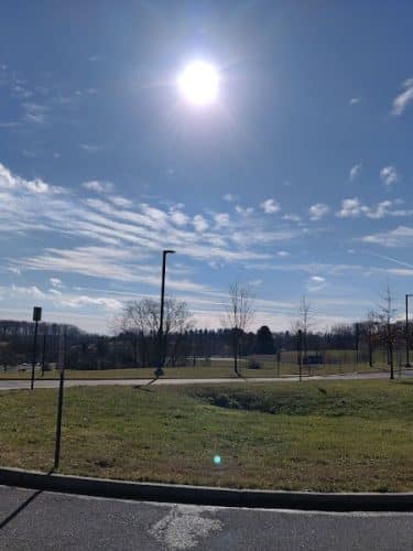 Watkins Park - Mount Airy Dog Park