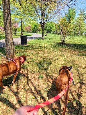 Watkins Park - Mount Airy Dog Park - Mt Airy, MD