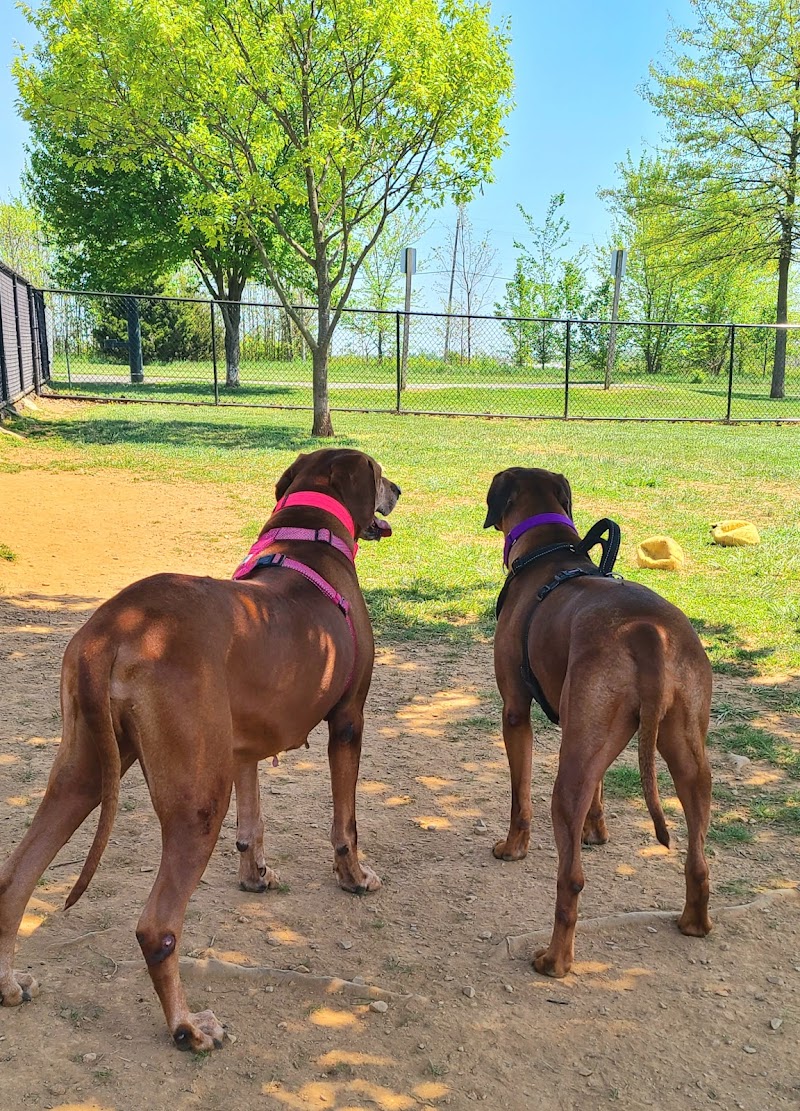 Watkins Park - Mount Airy Dog Park - Mt Airy, MD