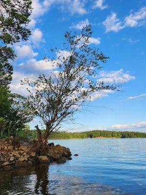 Mount Carmel Park - Mt Carmel, SC