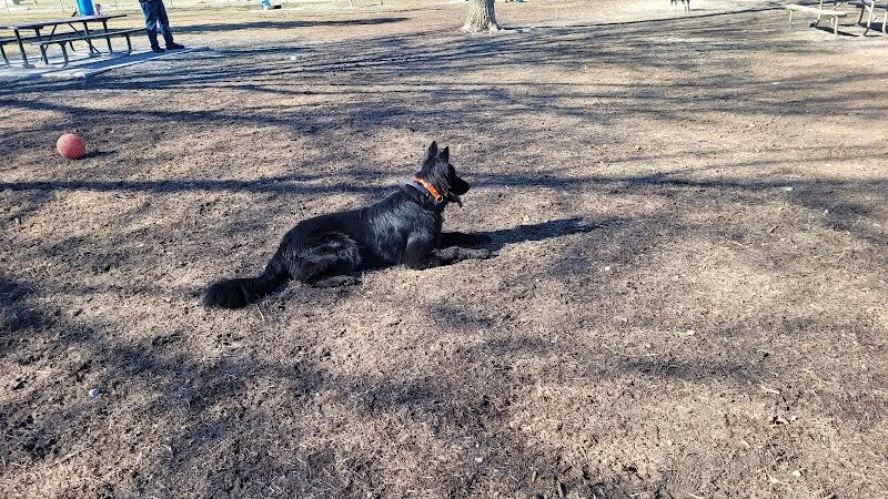 Behnke Memorial Dog Park - Mt Clemens, MI