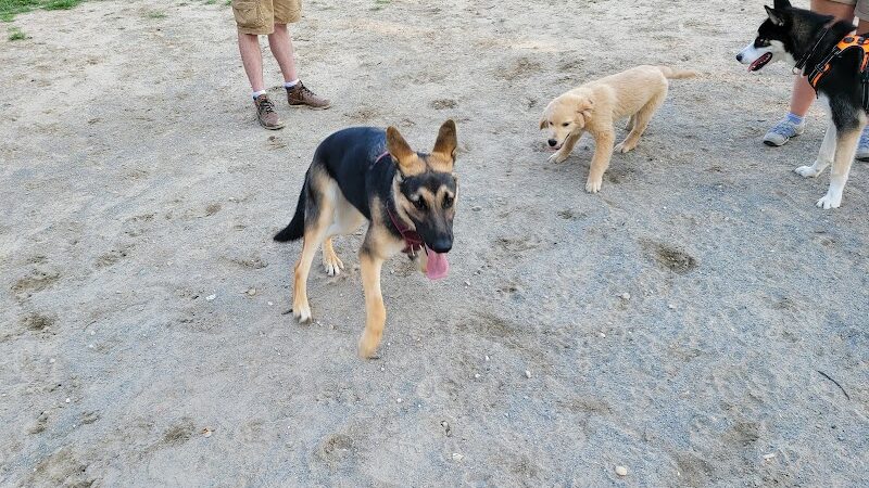 Behnke Memorial Dog Park - Mt Clemens, MI