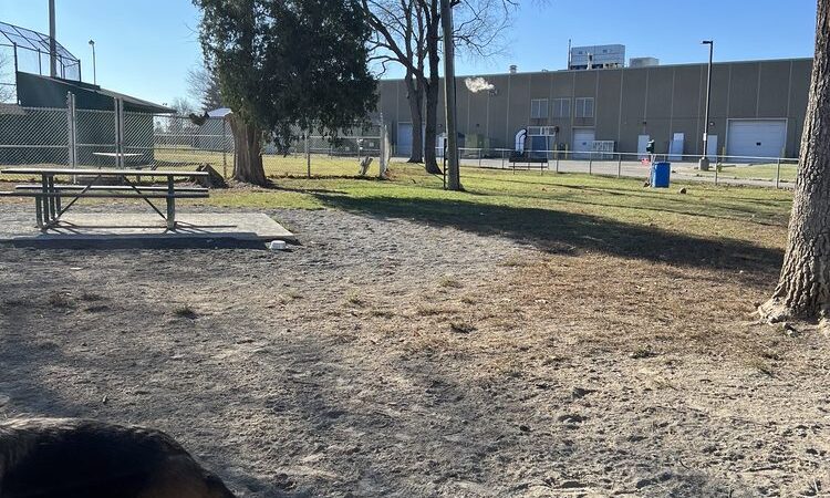 Behnke Memorial Dog Park - Mt Clemens, MI