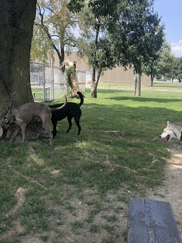 Behnke Memorial Dog Park
