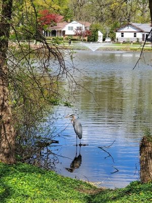 Haddon Lake Park