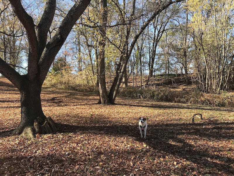 Haddon Lake Park - Mt Ephraim, NJ