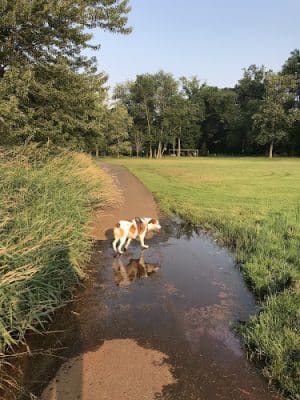 Haddon Lake Park